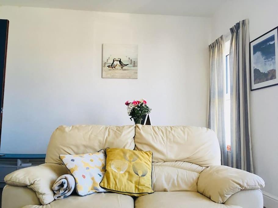 Hillcrest Cottage, Comfy Flat, Trendy Uplands Area スウォンジー エクステリア 写真